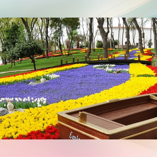 İSTANBUL LALE FESTİVALİ