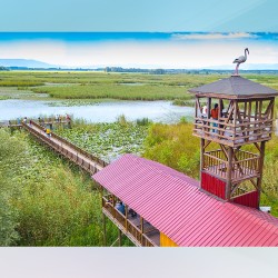 ORMANYA (Güzeldere_Şelalesi/Efteni_Gölü)