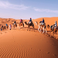 FAS (MASALLAR DİYARI) TURU 