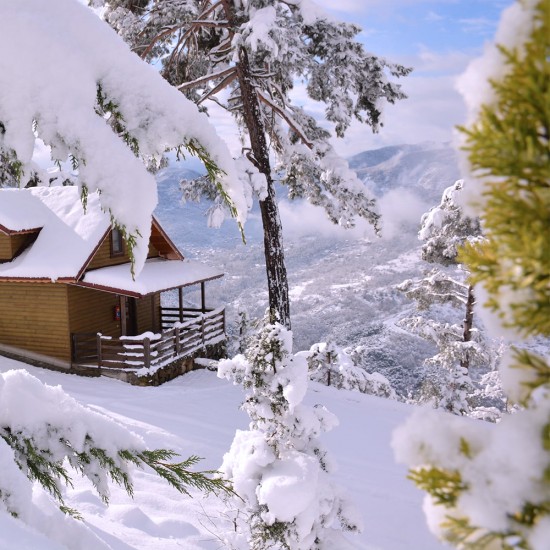 YENİCE IHLAMUR TERAS Göktepe_Yaylası/Bağbaşı_Yaylası