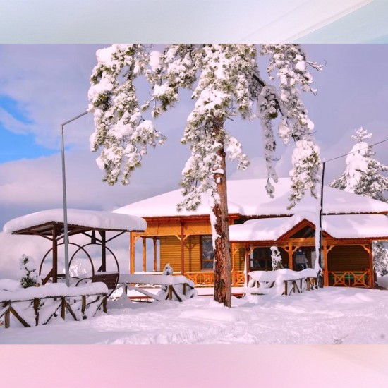 YENİCE IHLAMUR TERAS Göktepe_Yaylası/Bağbaşı_Yaylası