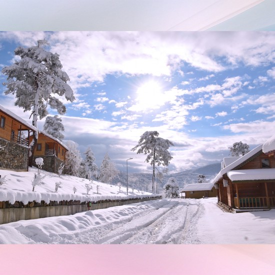 YENİCE IHLAMUR TERAS TURU